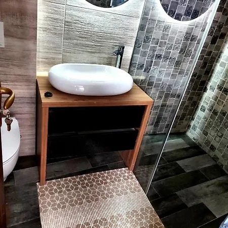 Pensiunea Luminita Guest house Targu Jiu
