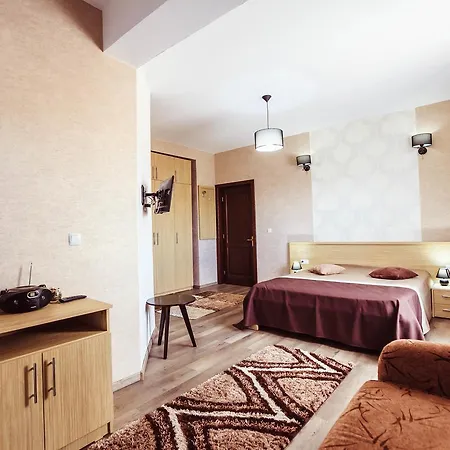 Pensiunea Luminita Guest house
